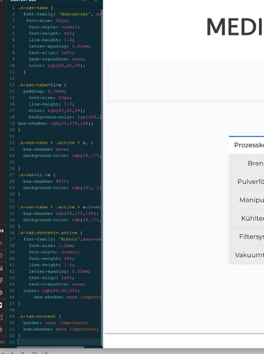 CSS