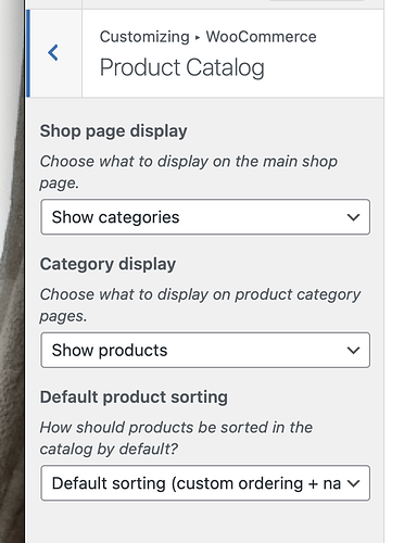 Screen Shot 2022-10-01 at 7.03.02 PM
