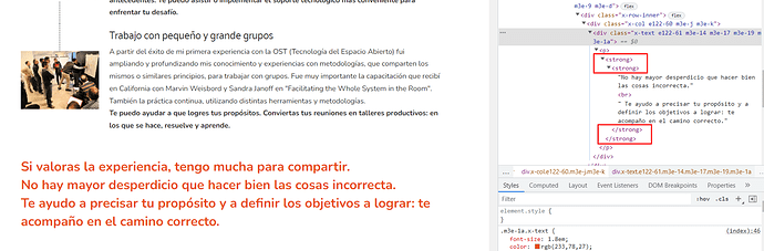 Browser