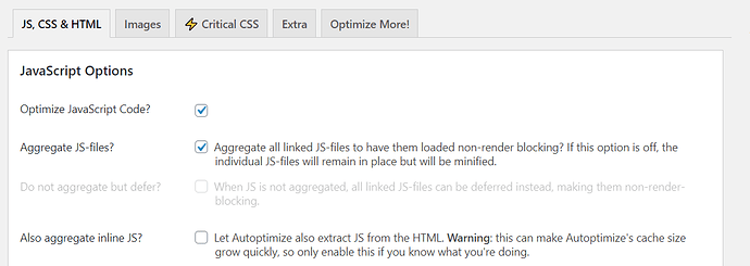 Autoptimize-Options-‹-MTBBOXX-—-WordPress