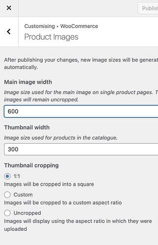 Screenshot 2022-12-01 at 9.08.44 AM