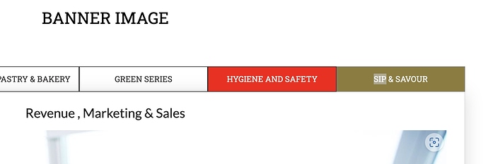 Screen Shot 2022-09-18 at 9.17.16 AM