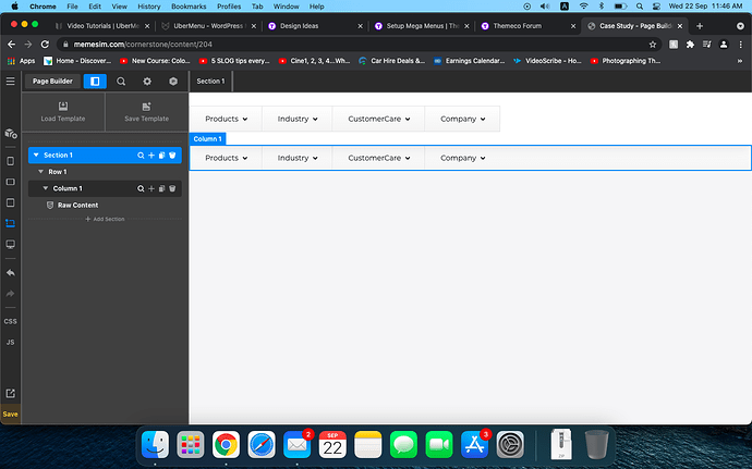 Screenshot 2021-09-22 at 11.46.31 AM