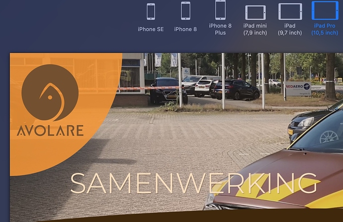 Schermafbeelding 2021-08-12 om 12.43.48