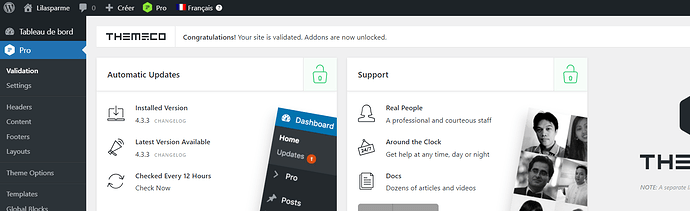 Validation-‹-Lilasparme-—-WordPress