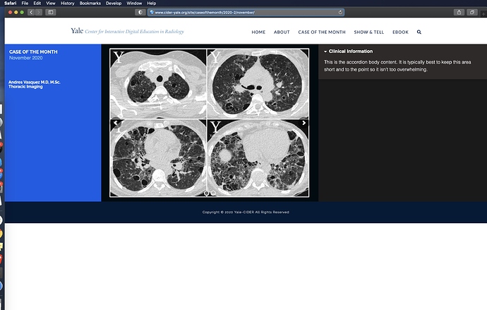 Screen Shot 2020-12-05 at 11.47.41 AM