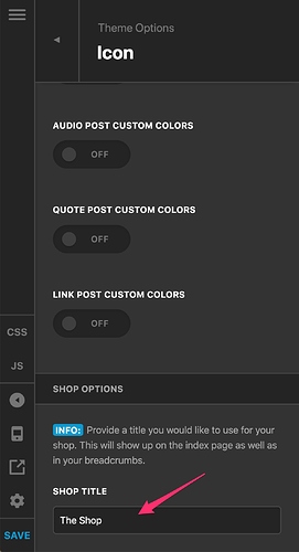 Theme_Options_-_Pro