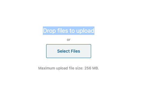 Screen Shot 2021-02-19 at 10.59.57 AM