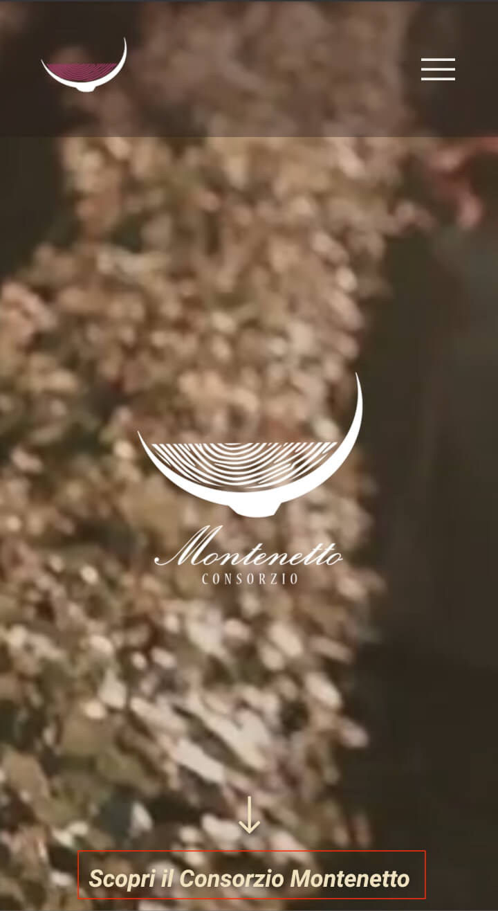 V_Mobile_1