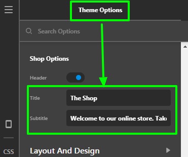 Theme-Options-Pro